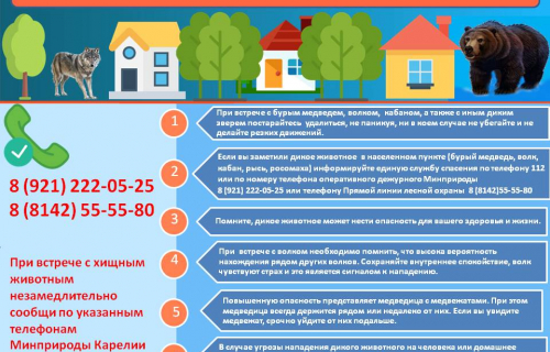 Министерство природных ресурсов и экологии Республики Карелия разъясняет