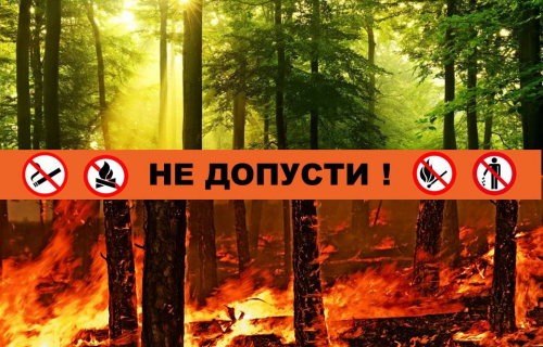 Недопущение пожара в природной среде