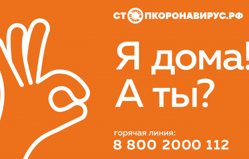 #стопкоронавирус.рф