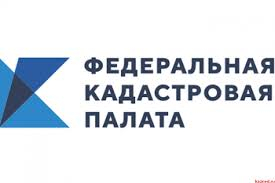 ФКП рассказала о том, какие сведения о земельном участке можно получить онлайн из кадастровой карты