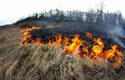 В КАРЕЛИИ НАЧИНАЕТСЯ ПОЖАРООПАСНЫЙ СЕЗОН