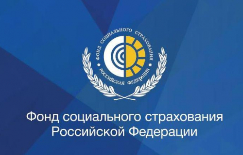 В Карелии подведены итоги кампании по подтверждению основного вида экономической деятельности