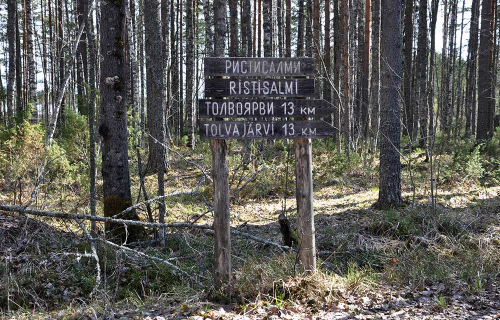 После самоизоляции лучше всего выбирать отдых на свежем воздухе с активными прогулками. После нескольких месяцев малоподвижного режима важно укрепить мышцы и иммунитет и набраться сил перед осенью
