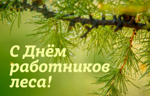 Поздравляем с наступающим Днем работников леса