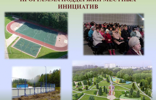 Голосование для участия в конкурсном отборе по Программе поддержки местных инициатив