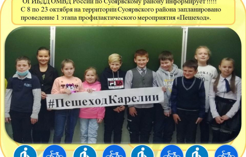 Профилактическое мероприятие Госавтоинспекции «Пешеход».