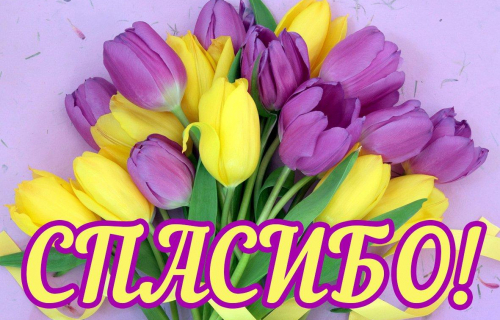 БЛАГОДАРНОСТЬ УЧРЕЖДЕНИЯ!!!
