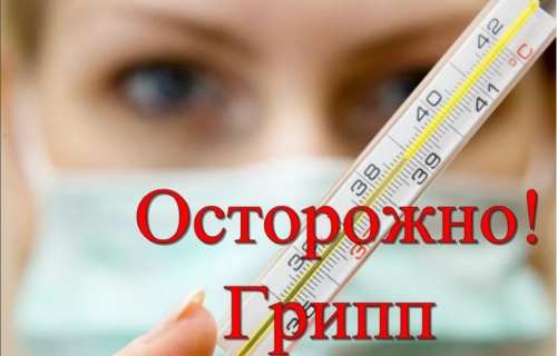 О гриппе и мерах его профилактики