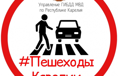 второй этап профилактического мероприятия "Пешеход",