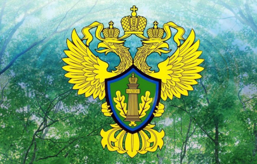 Карельская межрайонная природоохранная прокуратура разъясняет