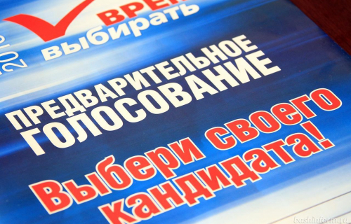 Предварительное голосование определит кандидатов в депутаты