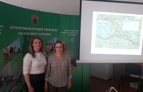 Живописное озеро Суйстамонъярви надо сохранить