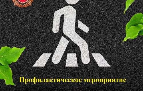 Профилактическое мероприятие #ПешеходыКарелии