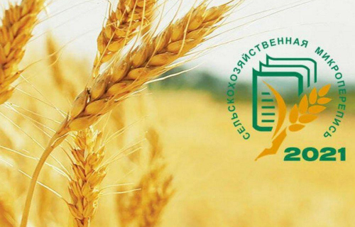 Встречаем перепись!