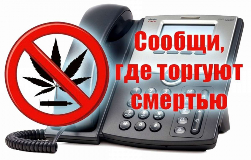 Стартовала антинаркотическая акция «Сообщи, где торгуют смертью».
