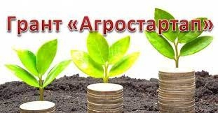 Министерство сельского и рыбного хозяйства Республики Карелия информирует
