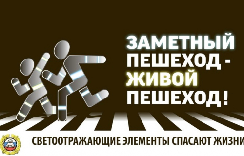 Одним из средств безопасности пешеходов служит световозвращатель