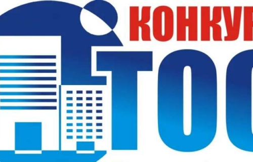 Конкурс социально значимых проектов ТОС