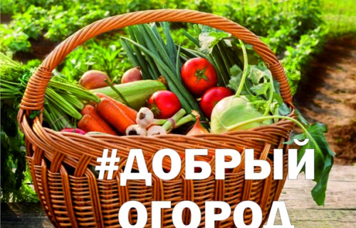 Карелов приглашают к участию во всероссийской акции #ДОБРЫЙ ОГОРОД