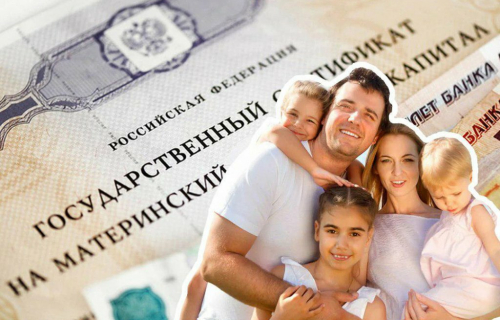 Семьи могут оплатить материнским капиталом услуги индивидуальных предпринимателей по обучению и присмотру за детьми