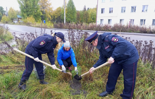 ОМВД России по Суоярвскому району информирует