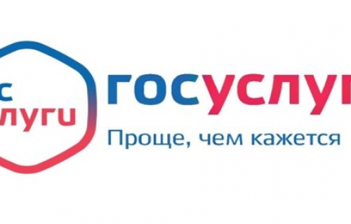 Информация о возможности получения массовых социально значимых услуг