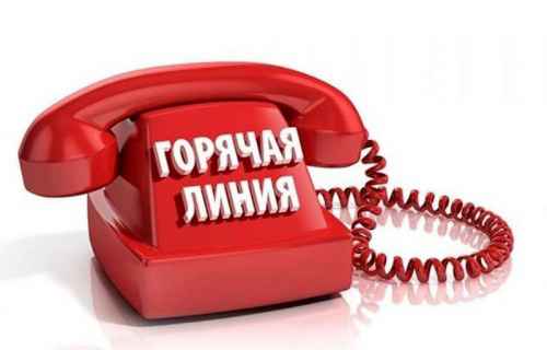 11 апреля граждан проконсультируют, как направить обращение в ОСФР по Карелии