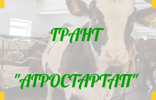 Объявлен отбор для предоставления гранта "Агростартап"