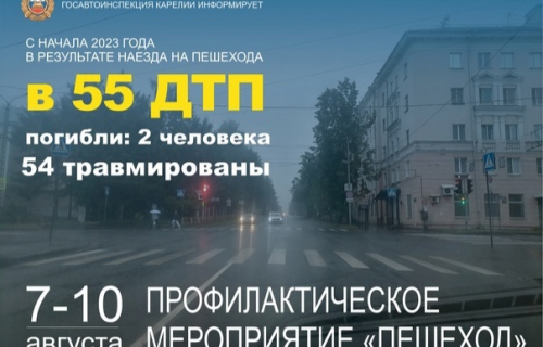 Профилактическое мероприятие «Пешеход»