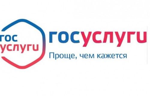 Государственные и муниципальные услуги в электронном виде