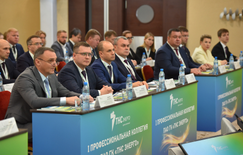 Управляющий директор «ТНС энерго Карелия» принял участие в I коллегии Группы компаний «ТНС энерго»