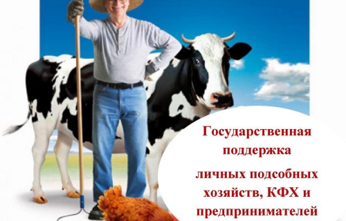 Минсельхоз Карелии в 2024 году реализует мероприятия по стимулированию увеличения производства картофеля и овощей.