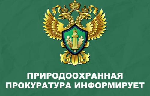 Карельская межрайонная природоохранная прокуратура разъясняет