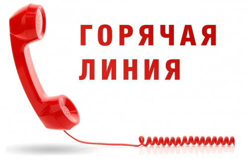 О проведении «горячей линии»